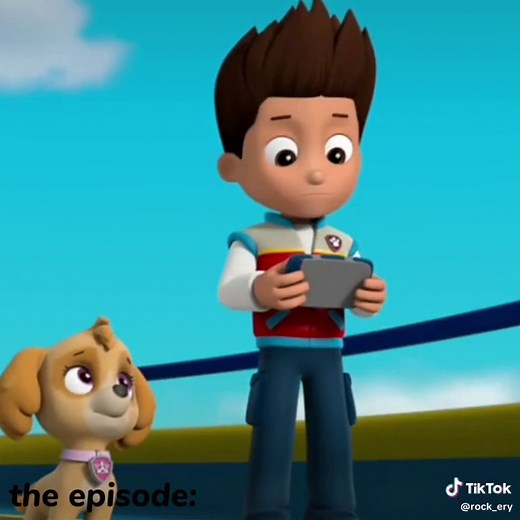 Paw Patrol Pups Save a Friend