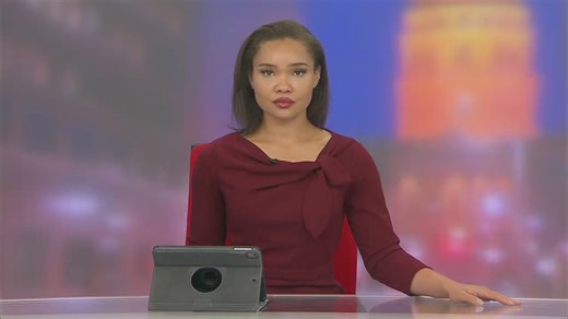 More stolen from dinosaur attraction