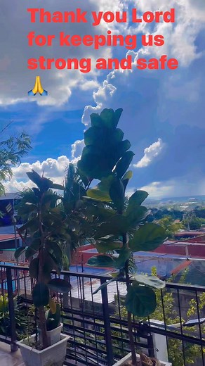 We survived the storm; now we give thanks to the One who guided us through it #ThankYouLord #ThankYouLordForYourProtection | Elve Pueblos Rebosura