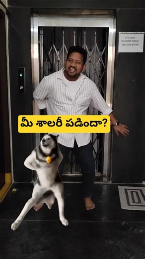 జీతం పడిపోయింది when salary credited