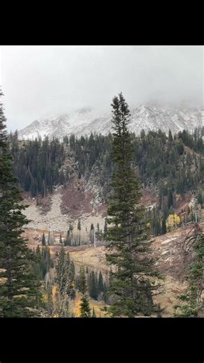 11K views · 247 reactions | little cottonwood canyon | La Muchacha Utah | Facebook