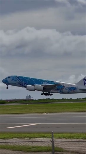 RARE ANA A380 “Blue Turtle” Livery Ever Seen! 😳🐢 #Shorts 🔥
