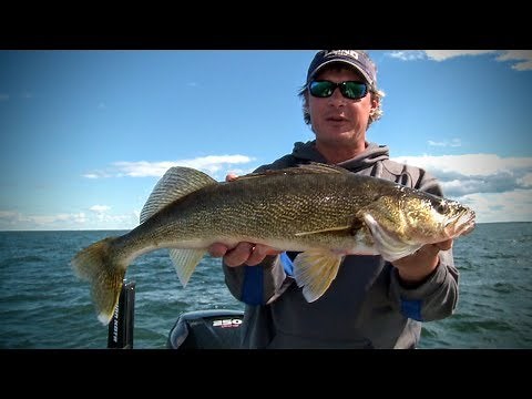 Walleye Fishing Today — Angling Edge TV