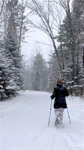 My Winter Therapy ❄️ #snowshoe #backcountry #treehugger