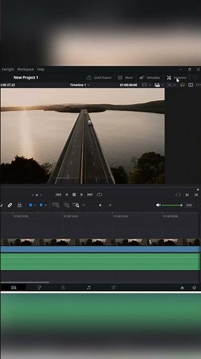 DaVinci Resolve: Add a Subtitle Track and Insert Captions