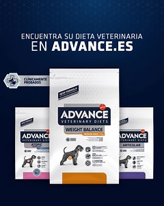 Sobrepeso, problemas articulares, piel atópica… Los perros con necesidades específicas necesitan soluciones reales. Descubre los resultados reales clínicamente probados de Advance Veterinary Diets en www.advance.es y encuentra la mejor solución para él y para ti. | Advance de Affinity