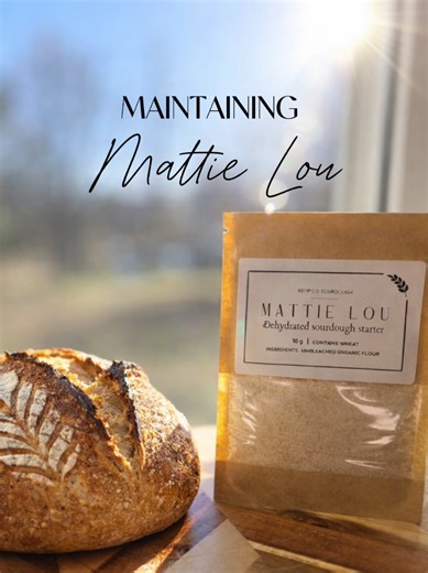 Maintaining Mattie Lou: Sourdough Bread Tips