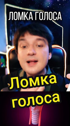 Exploring the Human Respiratory System Anatomy