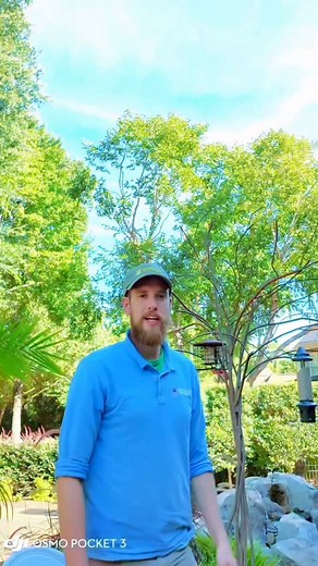 1.2K views · 12 reactions | Meet the Top Frog Jesse This is Jesse’s...