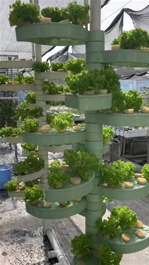 vegetableplanting.uk on TikTok