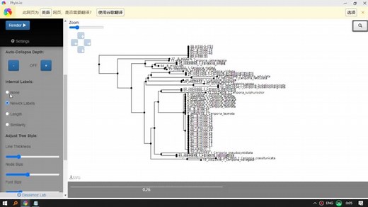 利用MAFFT-网页版快速构建系统发育树（简易版NJtree）
