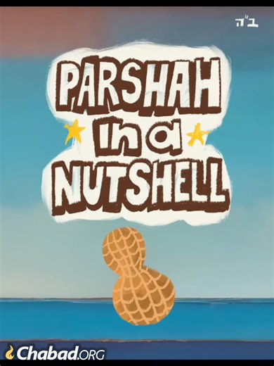 🍇Get the Parsha Shelach in a Nutshell! The name of the Parshah, "Shelach," means "Send" and it is found in Numbers 13:2. Moses sends twelve spies to the land of Canaan. Forty days later they return, carrying a huge cluster of grapes, a pomegranate and a fig, to report on a lush and bountiful land. But ten of the spies warn that the inhabitants of the land are giants and warriors “more powerful than we”; only Caleb and Joshua insist that the land can be conquered, as G‑d has commanded. The peopl