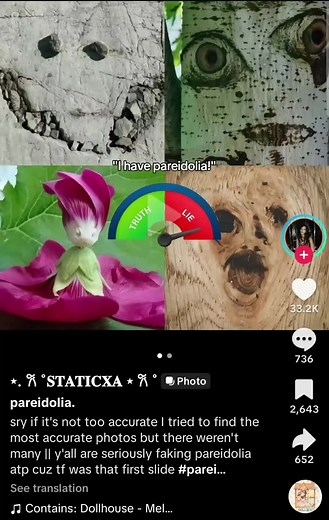 pareidolia is normal experience that every healthy human experiences. it's about seeing faces in things that aren't faces. whether it is very regocnizable or hardly recognizabke doesnt matter. @⋆. 𐙚 ˚𝐒𝐓𝐀𝐓𝐈𝐂𝐗𝐀 ⋆ 𐙚 ˚ #pareidolia #funnymemes