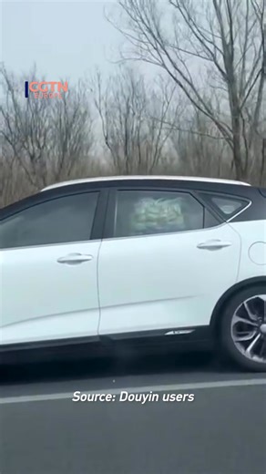 As the Spring Festival holiday comes to an end, people returning to work are sharing videos of car trunks packed by their families — filled with not just luggage but love. #SpringFestival #ChineseNewYear #ChineseNewYear2026 #YearoftheHorese #ChinaMoments | CGTNEurope