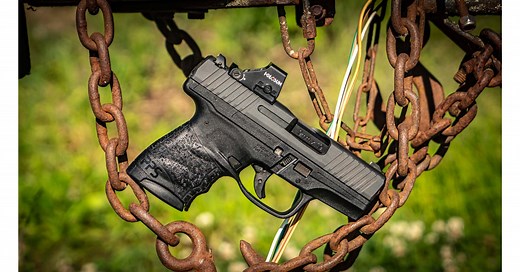 Walther PPS M2   Holosun HS507K Review