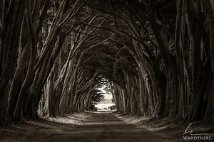 How To Export Your Photos From Lightroom