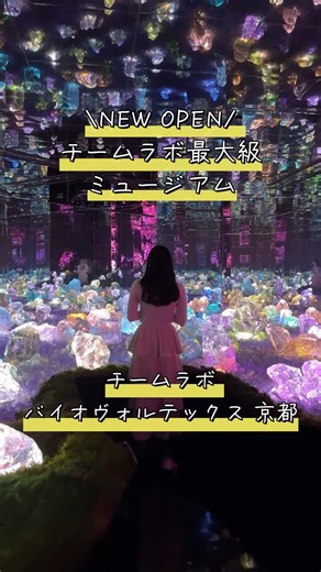 JR東海ツアーズ【公式】 on Instagram: "👈新幹線+ホテルのおトクなプランはプロフィールリンクからチェック🚅💨 【最新スポット】京都に誕生したチームラボのミュージアムを徹底解剖します✨ 10,000㎡の空間に50種類以上の作品が展示されていて、全身でアートを感じられる没入型アート体験が本当にすごすぎる！ まるで球体が生きているみたいな大迫力の空間や、宇宙に迷い込んでしまったかのような幻想的な空間も・・・☺️ お子様と一緒に楽しめるエリアや体を動かして体験できるエリアもあります💕 ゆっくり見て回ると3時間以上！たっぷり遊べます🙌 ぜひチェックしてみてくださいね👀 【今回訪れたスポット】 チームラボ バイオヴォルテックス 京都 🚃JR京都駅から徒歩約7分 📍〒601-8006 京都市南区東九条東岩本町21-5 京都旅行は #JR東海ツアーズ でチェック✅ #新幹線 #東海道新幹線 #京都旅行 #京都観光 #女子旅 #子連れスポット #teamlabkyoto"