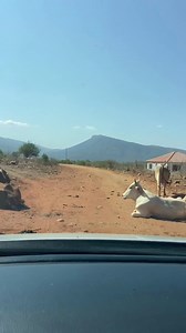 41K views · 1K reactions | Traffic lights 藍藍藍 | Matalane Mokgatla | Facebook