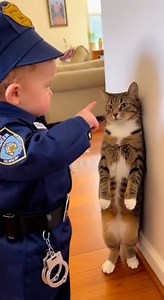 A precious moment of a baby bonding with a tiny kitten. Soft touches, cute smiles, and pure innocence make this video full of warmth and joy. Perfect for fans of adorable baby and pet clips! 🍼🐱💕 #babywithkitten #babyandkitten #cutebaby #cutekittens #AdorableMoments #cutenessoverload #BabyPet #SweetBond #cuteanimals #HeartMeltingMoments #FluffyKittens #babylove #kittenloversfeatures #petlovers #cutevideosofinstagram | Funny cats Movments