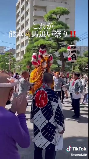 熊本の馬追い祭り：藤崎八幡宮の伝統行事