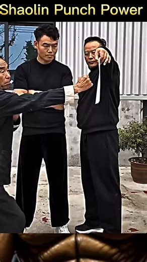 The Ultimate Movie Night Guide for Cinema Lovers