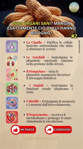 Vuoi Organi Sani Mangia Esattamente Ciò di Cui Hanno Bisogno !