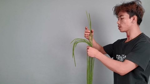 4ft 2pcs Large Artificial Plants Fake Palm Tree Tropical Palm Leaves Faux Palm Plants Tall Tree Indoor Real Touch Plastic Monstera Leaves for Home Garden Outdoor Office Decor (4ft/125cm-2pcs)