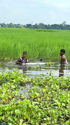 25K views · 111 reactions | Amazing Primitive Fishing | MR Fishing Life | Facebook