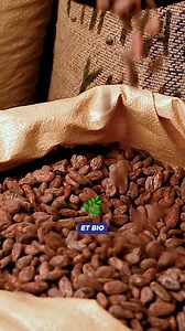 81K views · 250 reactions | Rencontre avec Franck, PDG et fondateur d'Initiatives et des Chocolats du cœur  L'ingrédient magique pour réaliser de délicieux chocolats ? 彩 Des fèves de cacao de qualité 癩 Découvrez les coulisses de la Chocolaterie.alexolivier, du choix des matières premières au savoir-faire des chocolatiers. Ils ne sont pas trop mimi ces moulages de Pâques ? 殺 | Leschocolatsducoeur | Facebook