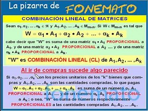 Combinación lineal de matrices