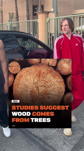 Lil Droptop: Fun Fashion with Lily's Crop Top