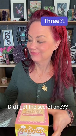 Unboxing the Secret Boboco Blind Box Stuffie