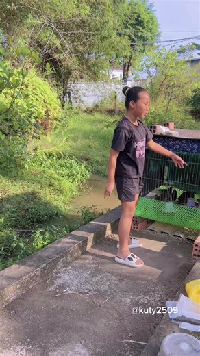 C.út đẻ trứng#cocacafeken #kenfamily