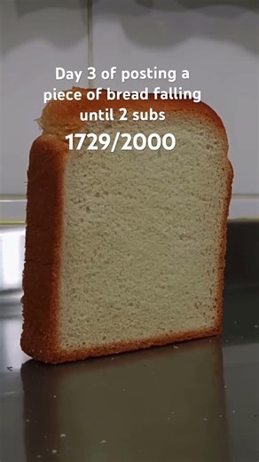 Day 3 of bread falling #bread#basketball#like#sub#viral#trending