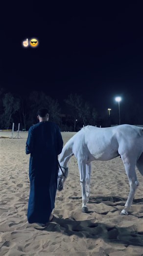 اسأل شات GBT: خيل عربي أصيل وإجابات سريعة