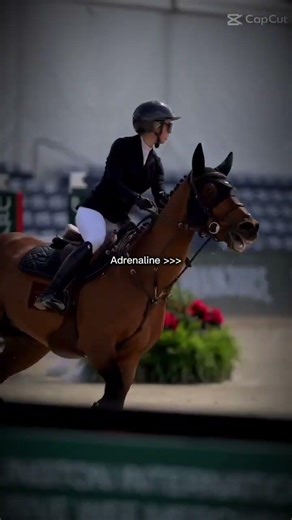 The Adrenaline of a show jumper #fypシ #horse #equestrian #horsefan #equestrianlife #horseedit