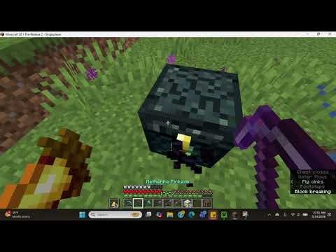 Playing Minecraft Java edition