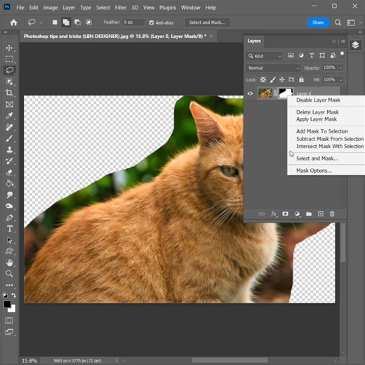 How to remove cat background without losing hair in Photoshop #photoshopjunction #photoshopindonesia #photoshopart #photoshoptutorials #photoshopartwork #photoshoperid #myphotoshop #notphotoshopped #photoshopped #photoshopmix #photoshoppainting #photoshoptutorial #intags #photoshopcc #photoshopedits #photoshop_cc #photoshop_art #nophotoshop #photoshopedit #photoshopwork #photoshopmanipulation #photoshopvikings #photoshop #photoshop_creative #photoshoper #photoshopexpress #photoshopillustration #
