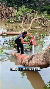 This lumberjack fell into the river
