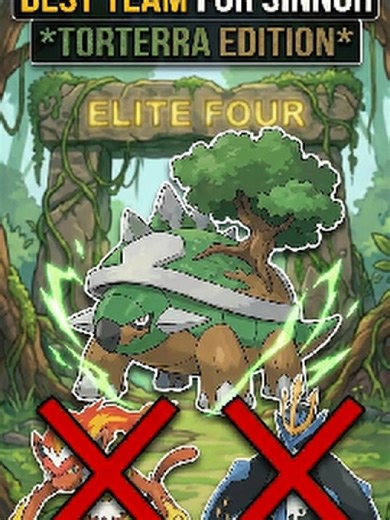 Optimal Team Composition for Torterra in Pokémon Platinum