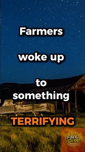 The mystery of the Chupacabra — the creature