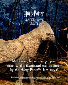 920 reactions · 56 shares | 彩Enjoy this magical interactive walking trail inspired by the Wizarding World✨ | Harry Potter: A Forbidden Forest Experience | Facebook