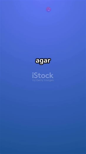 Shadow Smm Panel on TikTok