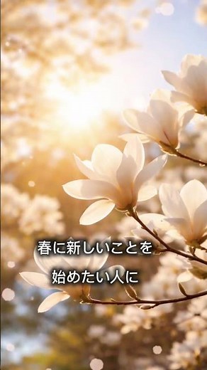 モクレンで春の開運 🌿上を向いて咲くモクレンは開運の春の花。太陽を浴びると花先が北を示す神秘の花。季節の花風水 🌿#shorts #モクレン #春の花 #花風水 #花のある暮らし