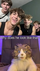 330K views · 1.3K reactions | Replying to @PeterPrankster Cat does some friendly roasts in Part 25 of our series! @caironoll17 @dawson.0500 | PeterPrankster | Facebook
