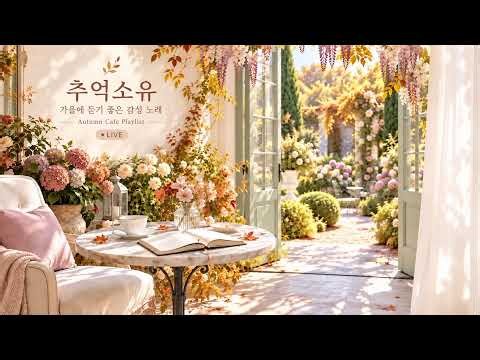 🍂 가을에 듣기 좋은 감성 노래 | 카페·휴식 플레이리스트 | 추억소유 LIVE