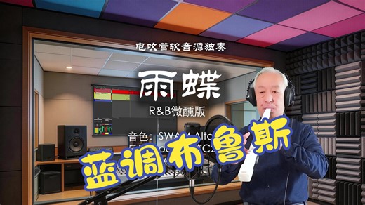 舒服的律动   顺滑的旋律   一点点蓝调伤感《雨蝶R&B微醺版》