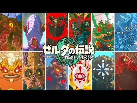 【全12種】ティアキンの全ボス実況まとめ!!最難関はどのボスなの!?【ゼルダの伝説 ティアーズ オブ ザ キングダム】