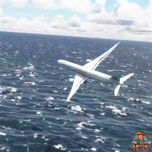 The Unbelievable Aftermath of a Plane Crash