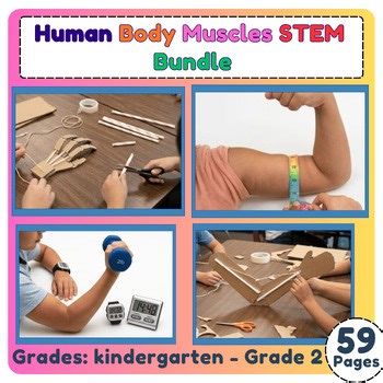 Human Body Muscles STEM Bundle | Hands-On Activities & Experiments For K - 2nd